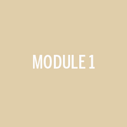 Module 1
