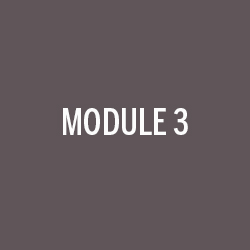 Module 3