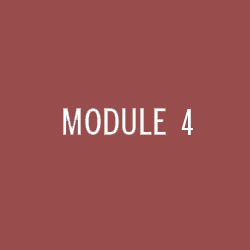 Module 4